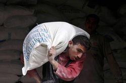 Israel tuyển công nhân nước ngoài thay thế cho người Palestine