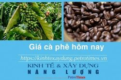 Giá cà phê hôm nay 5/2: Áp sát mốc 80.000 đồng