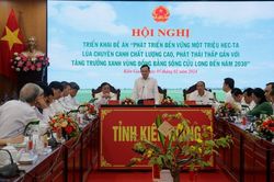 Phát triển 1 triệu ha lúa chuyên canh chất lượng cao tại ĐBSCL