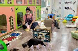 Đa dạng dịch vụ homestay cho thú cưng đón Tết
