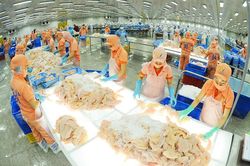 Chú trọng thực hiện tốt hoạt động hội nhập quốc tế