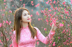 Cán bộ, công chức, viên chức, người lao động nghỉ Tết Nguyên đán Giáp Thìn 7 ngày
