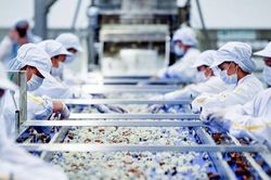 Xuất khẩu nông lâm sản khởi sắc từ đầu năm 2024
