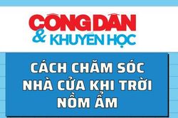 Cách chống ẩm mốc nhà khi trời nồm ẩm