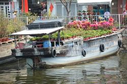 Rực rỡ chợ hoa 'trên bến dưới thuyền' ở Bến Bình Đông