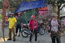 Cận Tết, tiểu thương như 'ngồi trên lửa' khi đào quất ế ẩm