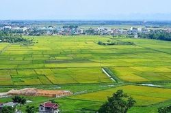 Quy định xác định giá đất theo phương pháp thu nhập