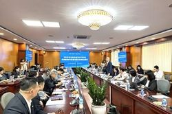 Giảm thiếu tác động cho doanh nghiệp xuất nhập khẩu trước căng thẳng Biển Đỏ