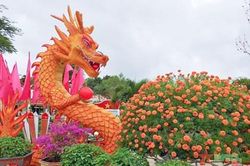 Linh vật rồng ở Sư đoàn 2