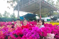 Rực rỡ sắc Xuân nơi 'cuối trời' Tổ quốc