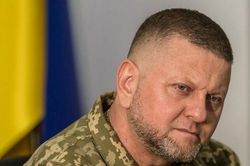 Nghị sĩ Ukraine tiết lộ Tổng tư lệnh Zaluzhny chuyển sang làm Đại sứ tại Anh