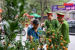 Tăng cường tuần tra đảm bảo trật tự đô thị những ngày giáp Tết