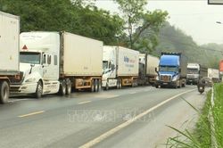 Lạng Sơn kiểm dịch chặt chẽ nông sản xuất nhập khẩu