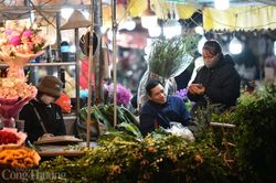 Đêm không ngủ ở chợ hoa lớn nhất Hà Nội ngày giáp Tết