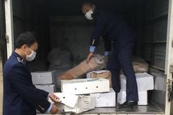 Hải Dương: Ngăn chặn 800kg chân gà, xương và mỡ lợn không rõ nguồn gốc