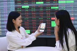 Chứng khoán hôm nay (5/2): Cổ phiếu ngân hàng lại dẫn sóng, VN-Index chạm đỉnh tháng 1/2024