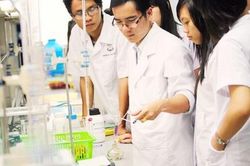 Năm 2024, trường đại học Y Dược nào tuyển sinh bằng học bạ THPT?