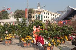 Rực rỡ sắc xuân những ngày giáp Tết ở phố núi Điện Biên