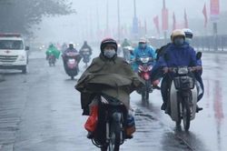 Chủ động ứng phó rét đậm, rét hại và gió mạnh trên biển trong dịp Tết Nguyên đán