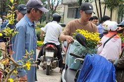 Hoa nhiều, nhưng khách chưa đông