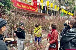 Sầm uất chợ hoa phố cổ Hà Nội đón Tết Giáp Thìn 2024