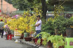 Bán mai ở 'chợ nhà giàu' Phú Mỹ Hưng cả mùa Tết chỉ được 70 triệu