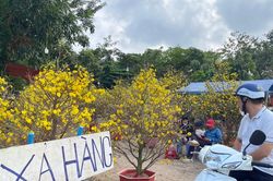 Chợ hoa ế ẩm, tiểu thương treo bảng xả hàng, xả lỗ