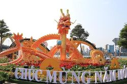Đường hoa xuân Đà Nẵng rực rỡ đón Tết