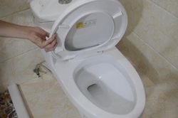 Nắp bồn cầu có bị mở hay đóng sau khi đi vệ sinh không? Rất nhiều người làm sai, không có gì lạ khi nhà vệ sinh bị bẩn
