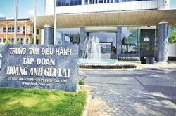 Hoàng Anh Gia Lai có tổng giám đốc mới
