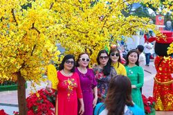 Người dân, du khách xúng xính váy áo 'check-in' đường hoa Tết Đà Nẵng