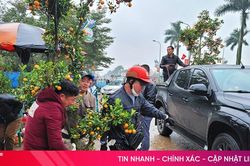 Đào, quất chiều 30 tết: 'Xả hàng' vẫn vắng người mua!