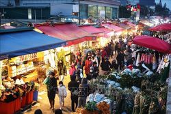 Nhộn nhịp chợ hoa Quảng An ngày cuối năm