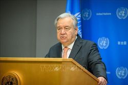 Tổng thư ký LHQ nêu ưu tiên hoạt động trong năm 2024