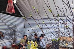 Trắng đêm đợi Tết