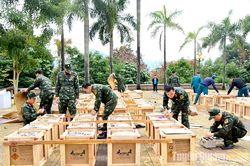 Sẵn sàng cho bắn pháo hoa đêm Giao thừa