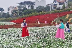 Không khí 30 Tết tràn ngập tại thung lũng hoa Hồ Tây