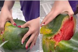 Mua dưa hấu về để trên bàn thờ ngày Tết, người phụ nữ phát hiện dấu hiệu bất thường sau 1 ngày
