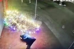 Trưng đào chơi Tết lung linh trước cửa, gia chủ ngỡ ngàng khi thấy cảnh qua camera