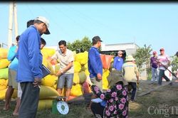 Giá lúa gạo hôm nay ngày 10/2: Kéo dài đà đi ngang