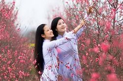 Trong hương hoa ân tình