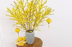 Tử vi thứ Hai ngày 12/2/2024 của 12 cung hoàng đạo