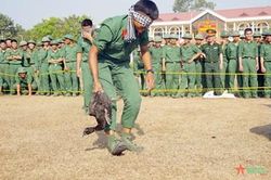 Ngày xuân vui tươi của bộ đội Sư đoàn 9