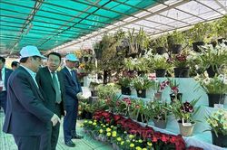 Đà Lạt thu hút hàng trăm nghìn du khách dịp đầu năm