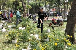 Đập bỏ hoa chiều 30 Tết: Ai dạy ai bài học?