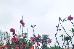 Ngày mùng 4 Tết, thời tiết cả nước trời nắng đẹp