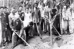 Ngày xuân, nhớ Tết trồng cây và triết lý sống hòa hợp với thiên nhiên của Bác Hồ