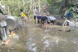 Khắc phục nhanh sạt lở do triều cường ở Bến Tre