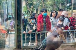 Nắng đẹp, công viên 'hút' khách