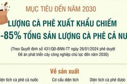 Giá cà phê hôm nay 14/2/2024: Giá cà phê tiếp tục giảm đồng loạt, xuất khẩu toàn cầu bất ngờ tăng, kế hoạch của Việt Nam đến năm 2030?